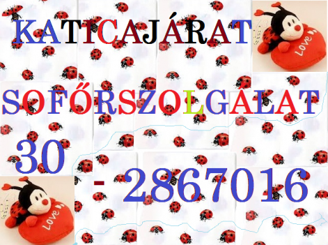 sok_katicas.png sok_katicas.png